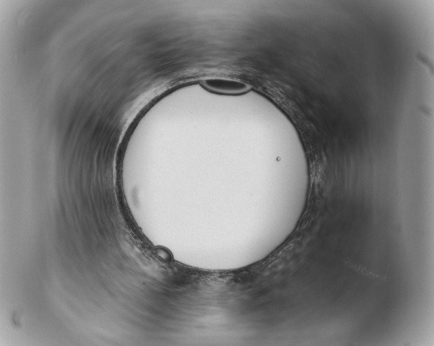 X0000102470148200808291612