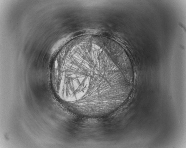 X0000102470149200808291612