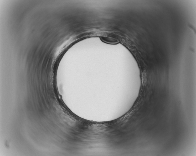 X0000102470150200808291612