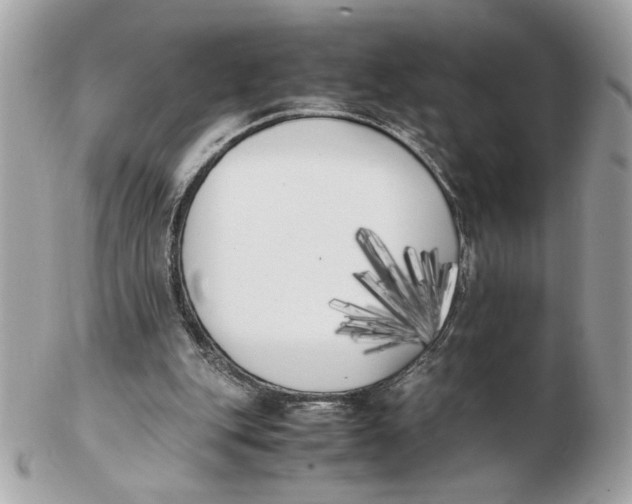 X0000102470151200808291612