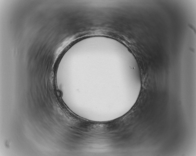 X0000102470152200808291612