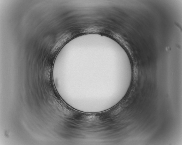 X0000102470153200808291612