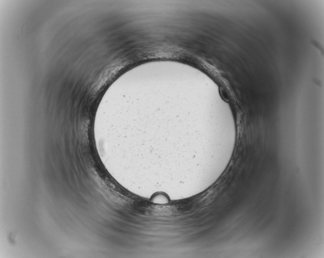 X0000102470154200808291613