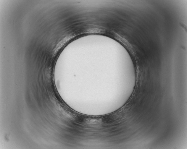 X0000102470155200808291613