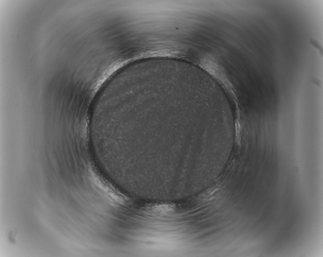 X0000102470156200808291613