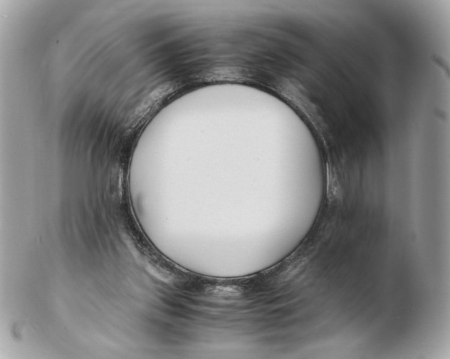 X0000102470157200808291613