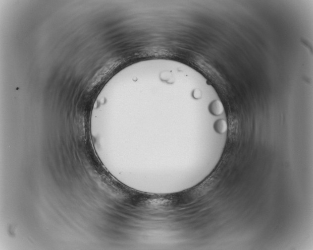 X0000102470158200808291613