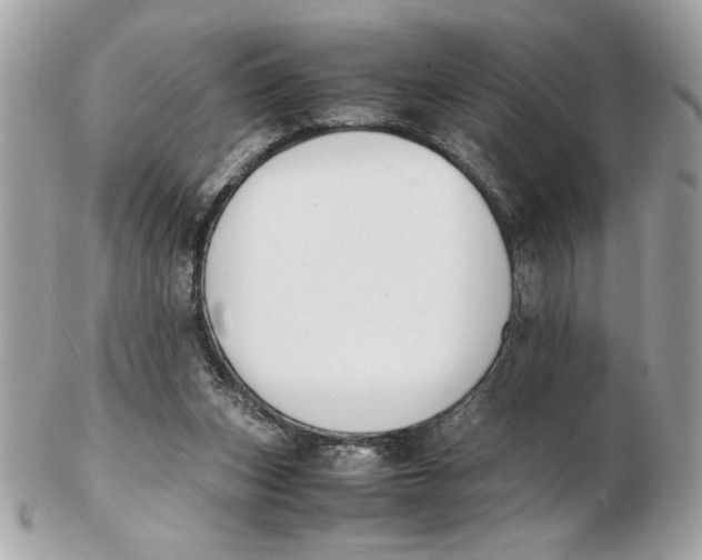 X0000102470159200808291613