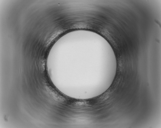 X0000102470160200808291613