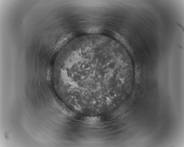 X0000102470161200808291613