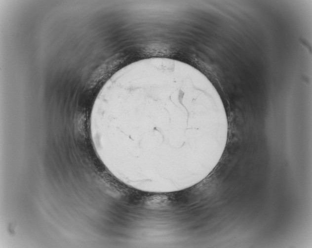 X0000102470162200808291613