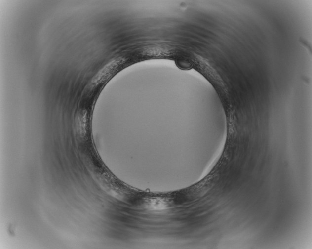 X0000102470163200808291613