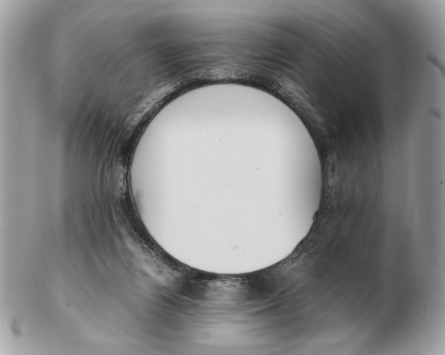 X0000102470164200808291613