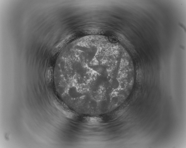 X0000102470165200808291613