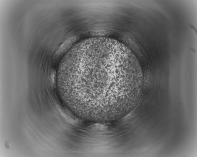X0000102470166200808291613