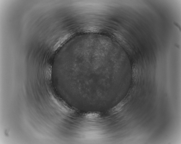 X0000102470168200808291613