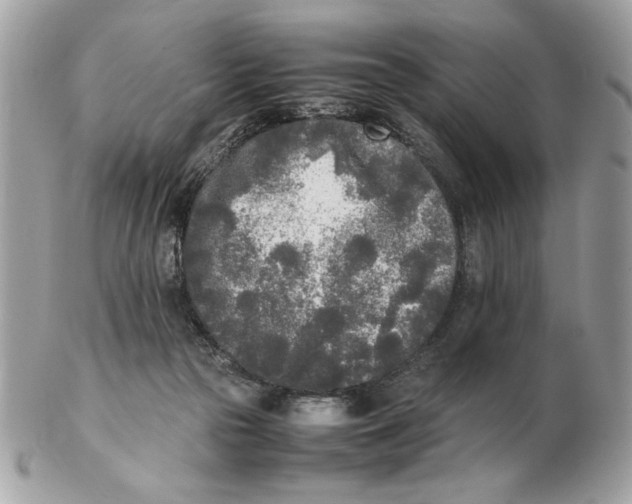 X0000102470169200808291613