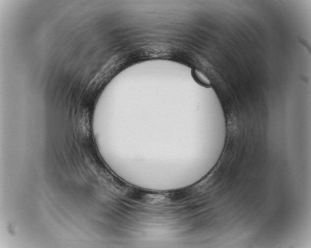 X0000102470170200808291613