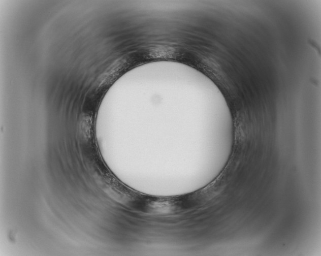 X0000102470171200808291613