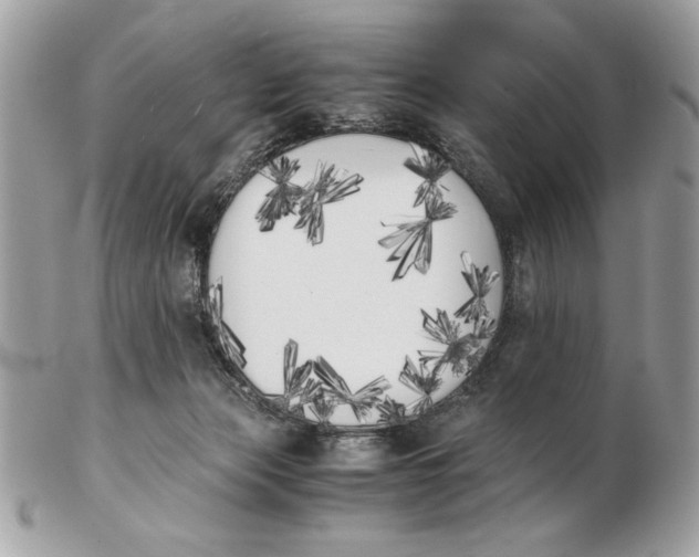 X0000102470173200808291613
