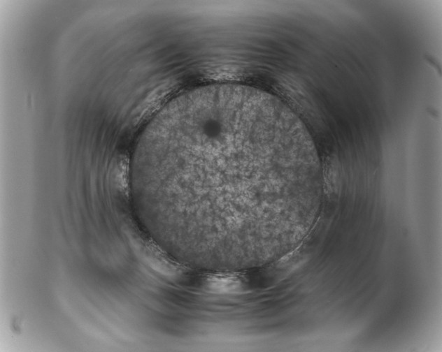 X0000102470175200808291613