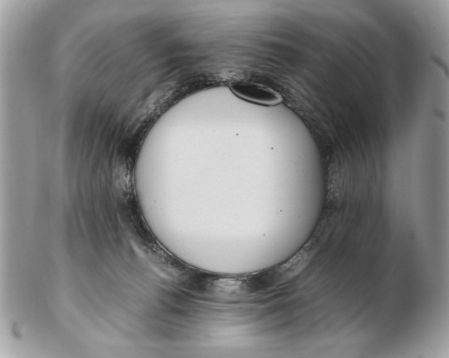 X0000102470176200808291613