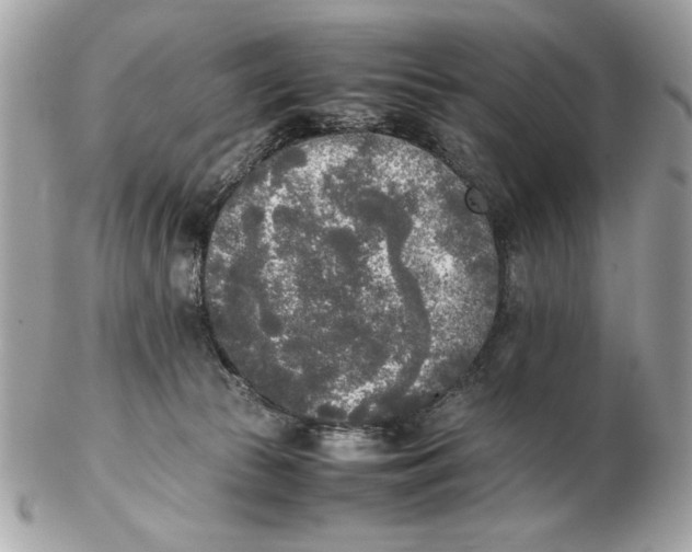 X0000102470177200808291613