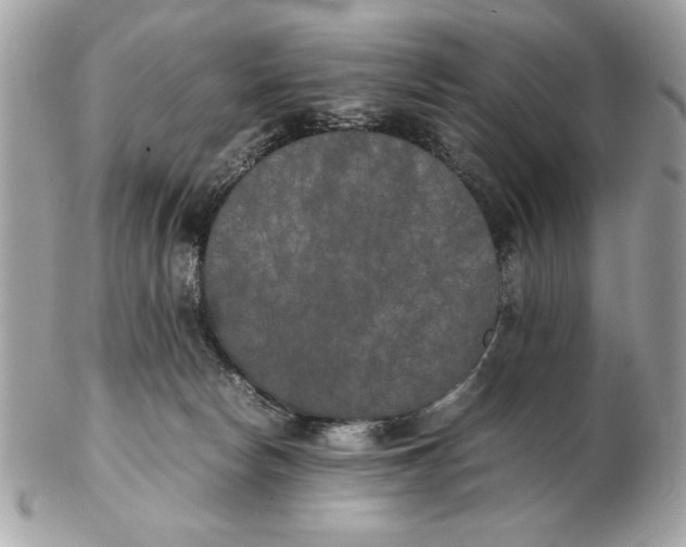 X0000102470178200808291613