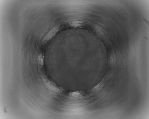 X0000102470180200808291613