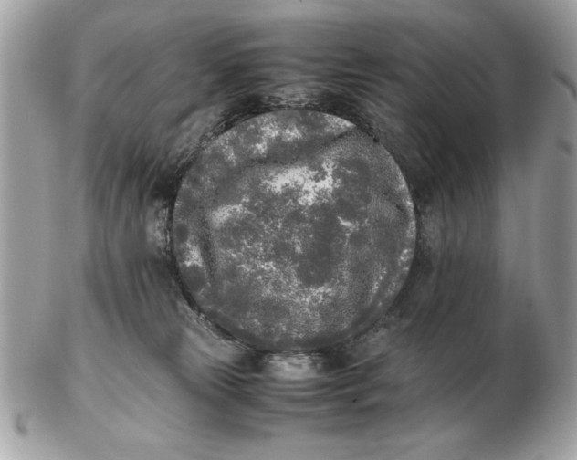 X0000102470181200808291613