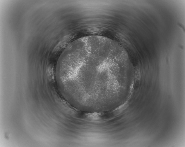X0000102470182200808291613