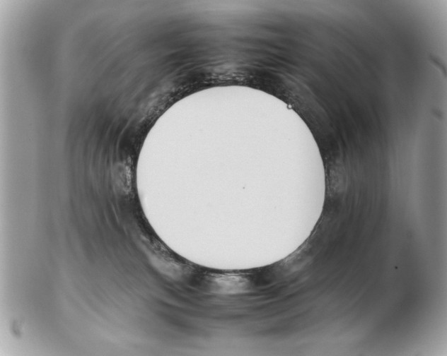 X0000102470183200808291613