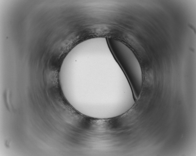 X0000102470184200808291613