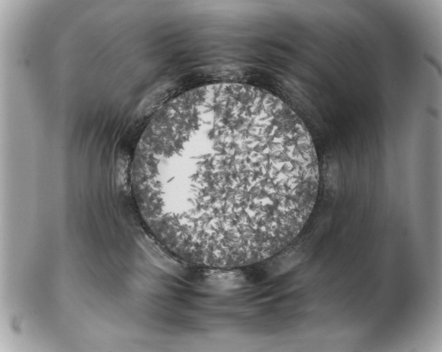 X0000102470185200808291613