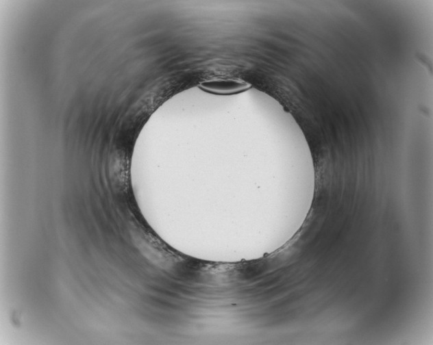 X0000102470186200808291613