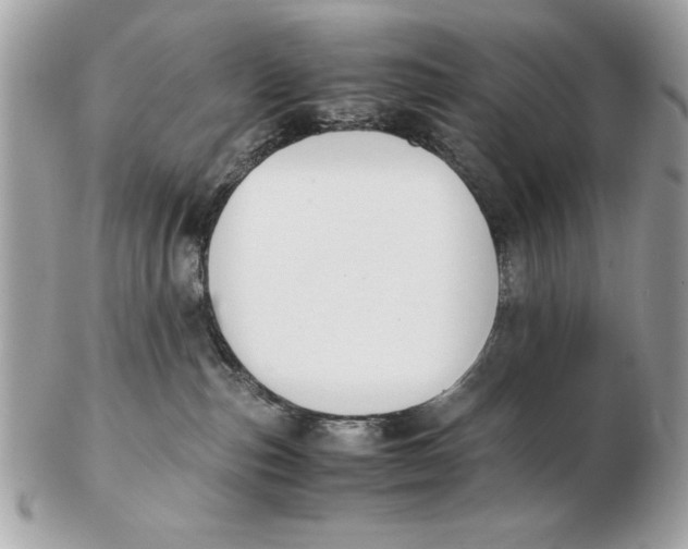X0000102470187200808291613