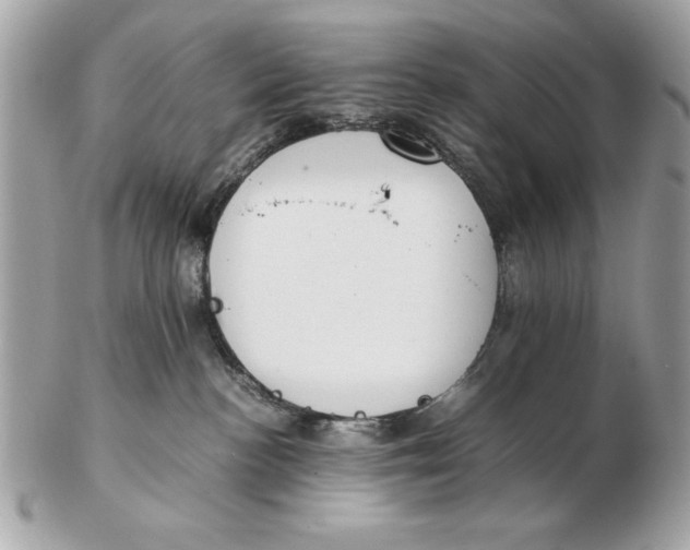 X0000102470188200808291613