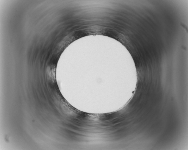 X0000102470190200808291613
