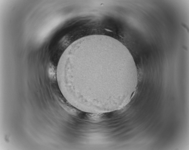 X0000102470191200808291613
