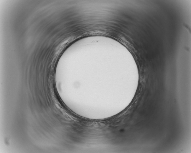 X0000102470193200808291612