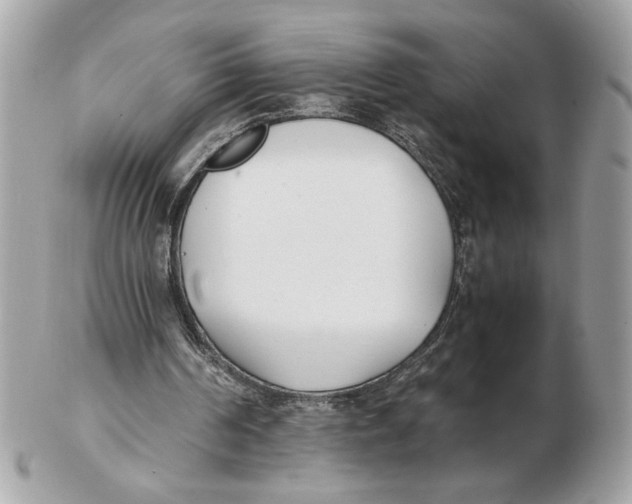 X0000102470194200808291612
