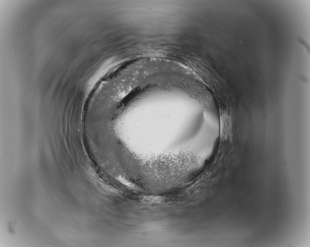X0000102470195200808291612