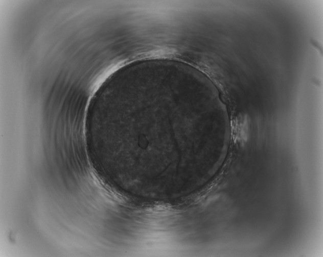 X0000102470196200808291612