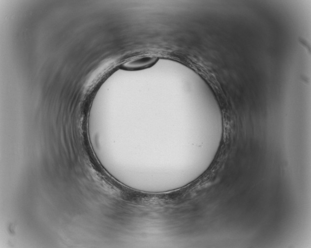 X0000102470197200808291612