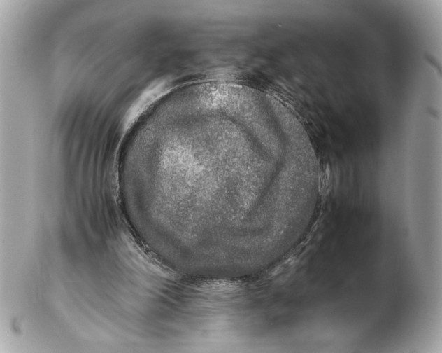 X0000102470198200808291612