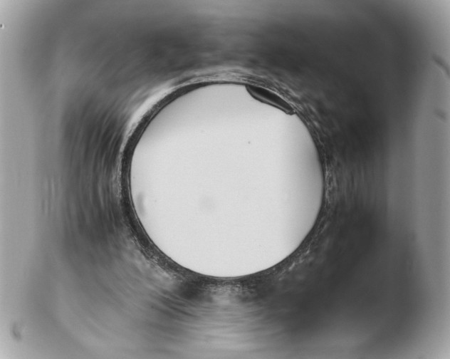 X0000102470200200808291612