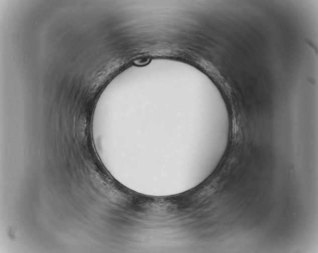 X0000102470201200808291612