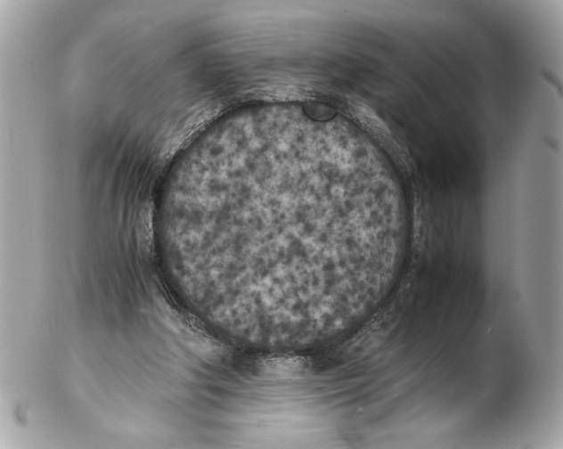 X0000102470202200808291612