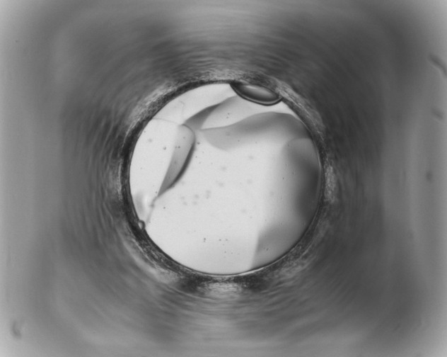 X0000102470203200808291612