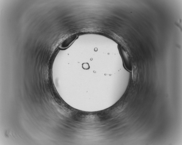 X0000102470204200808291612